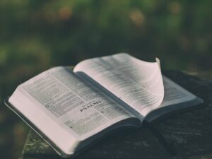 pexels-bible-1846174_1280